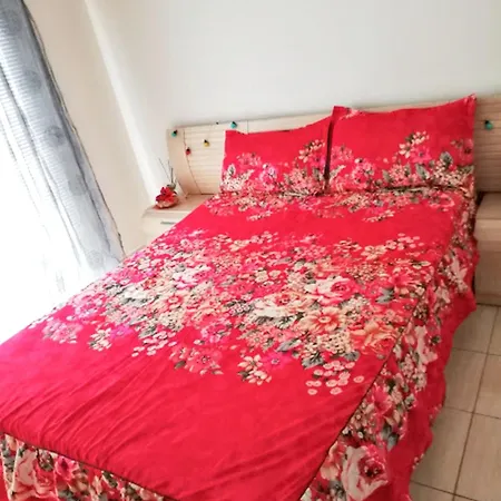 Charming In With Sea View דירה *